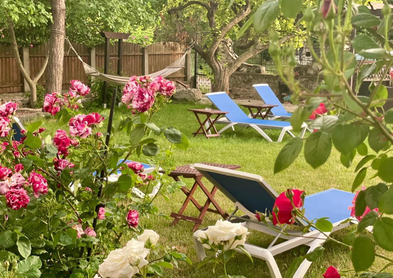 Vamabel House Bed & Breakfast Vama Veche Dış mekan fotoğraf