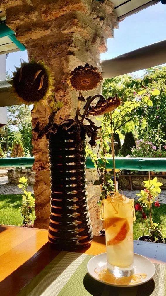 Vamabel House Bed & Breakfast Vama Veche Dış mekan fotoğraf