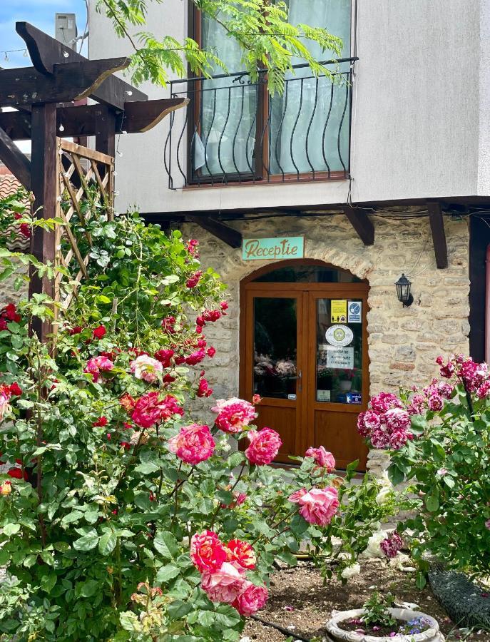 Vamabel House Bed & Breakfast Vama Veche Dış mekan fotoğraf