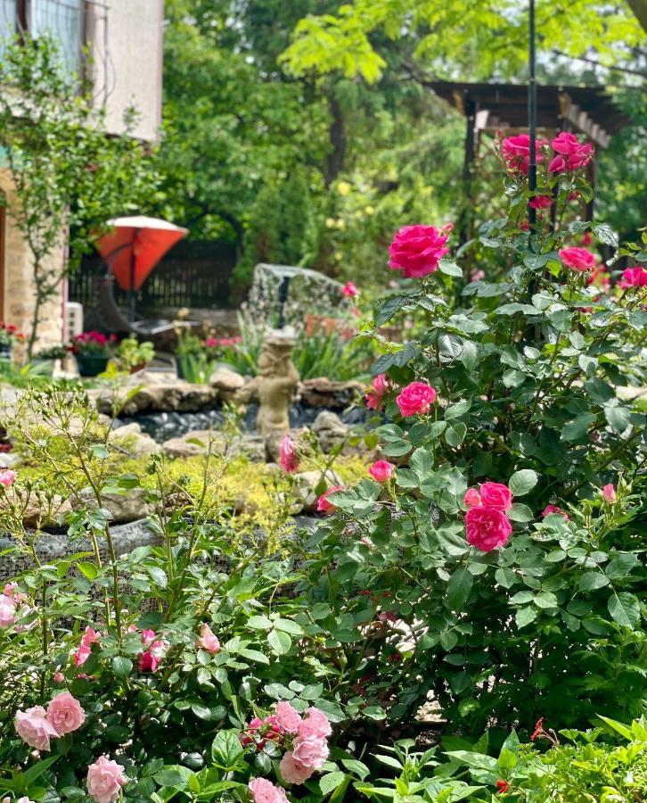 Vamabel House Bed & Breakfast Vama Veche Dış mekan fotoğraf