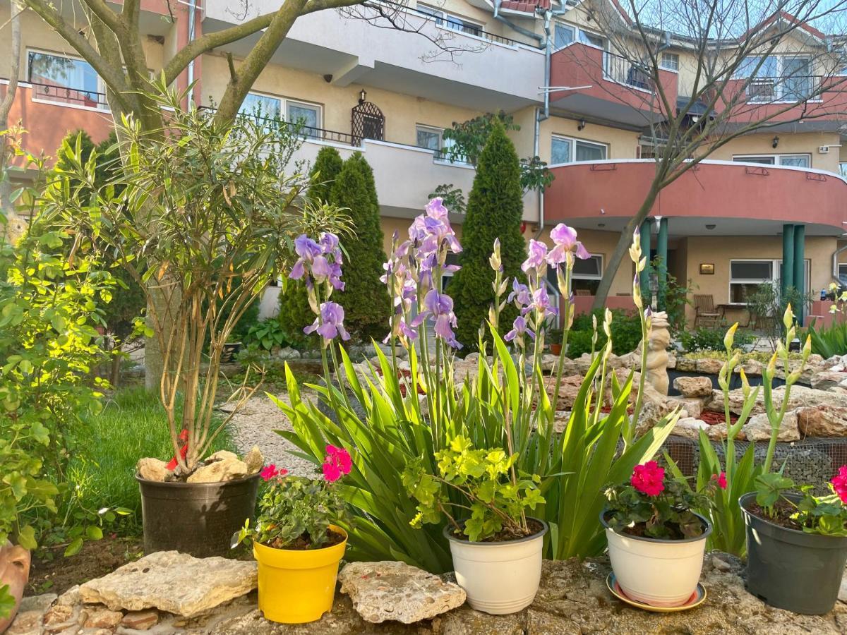 Vamabel House Bed & Breakfast Vama Veche Dış mekan fotoğraf